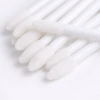 Disposable lip applicators (100 pieces)
