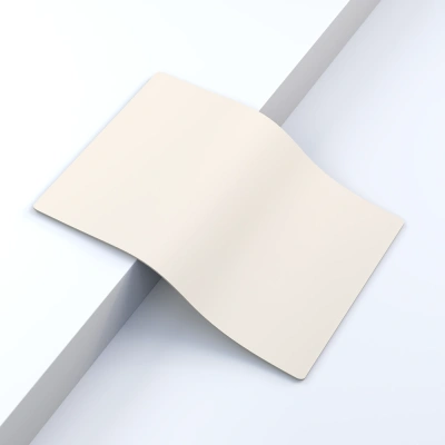 Practice skin for pigmentation beige A5