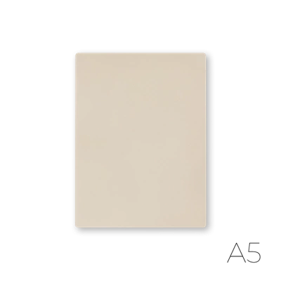 Practice skin for pigmentation beige A5